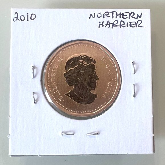 2010, 2010, 2011 and 2011 Canada Special Edition Specimen $1 Dollar Loonies! - Picture 6 of 10